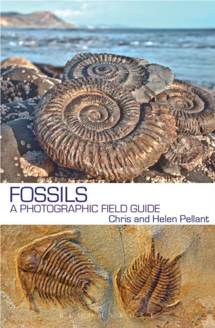 Fossils : A Photographic Field Guide, Paperback / softback Book