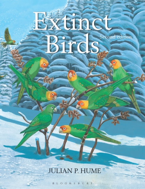 Extinct Birds, Hardback Book