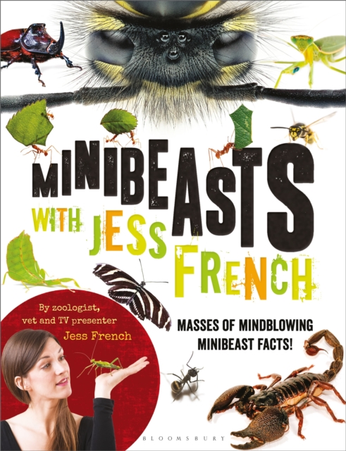 Minibeasts with Jess French : Masses of mindblowing minibeast facts!, Paperback / softback Book