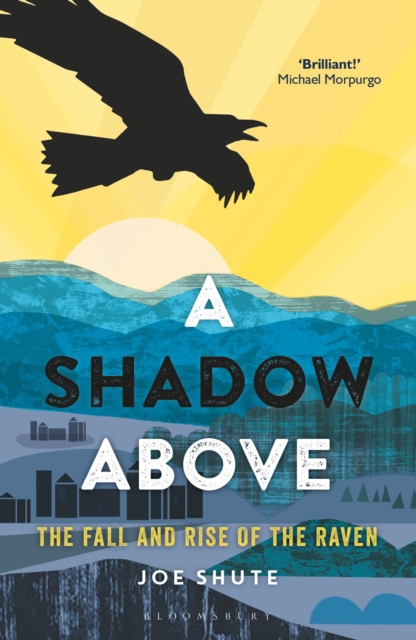 A Shadow Above : The Fall and Rise of the Raven, Hardback Book