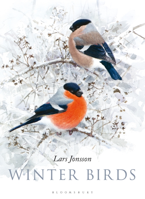 Winter Birds, EPUB eBook