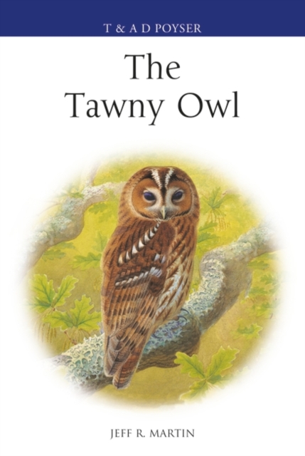 The Tawny Owl, EPUB eBook