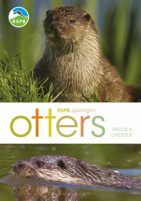 RSPB Spotlight: Otters, PDF eBook