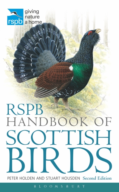 RSPB Handbook of Scottish Birds : Second Edition, PDF eBook