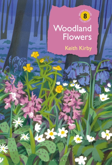 Woodland Flowers : Colourful past, uncertain future, Hardback Book