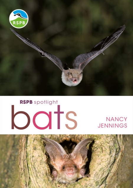 RSPB Spotlight Bats, EPUB eBook