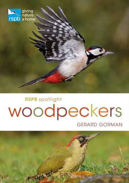 RSPB Spotlight Woodpeckers, EPUB eBook