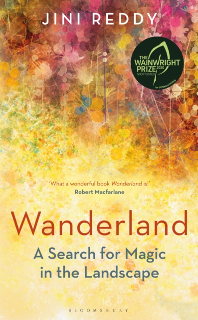 Wanderland : Shortlisted for the Wainwright Prize and Stanford Dolman Travel Book of the Year Award, EPUB eBook