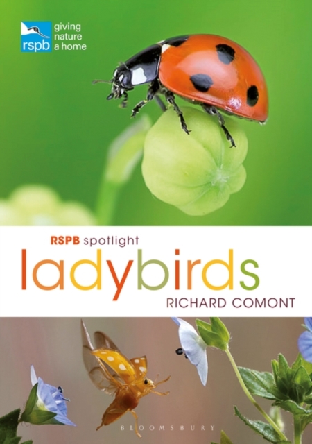 RSPB Spotlight Ladybirds, EPUB eBook