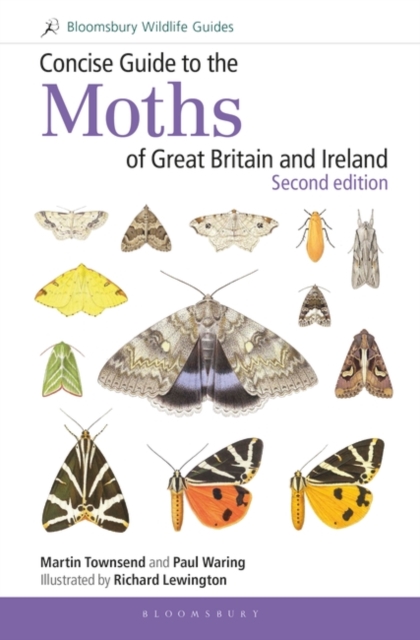Concise Guide to the Moths of Great Britain and Ireland: Second edition, PDF eBook