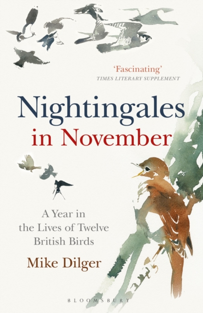 Nightingales in November : A Year in the Lives of Twelve British Birds, Paperback / softback Book