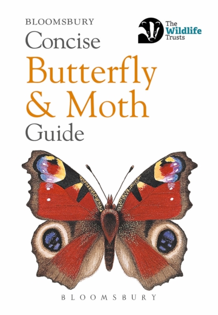 Concise Butterfly and Moth Guide, Paperback / softback Book