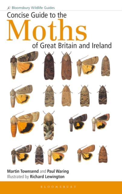 Concise Guide to the Moths of Great Britain and Ireland, Paperback / softback Book