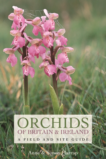 Orchids of Britain and Ireland : A Field and Site Guide, Paperback / softback Book