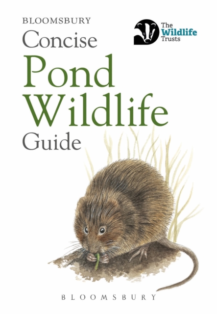 Concise Pond Wildlife Guide, Paperback / softback Book