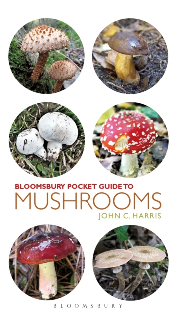 Pocket Guide to Mushrooms, Paperback / softback Book