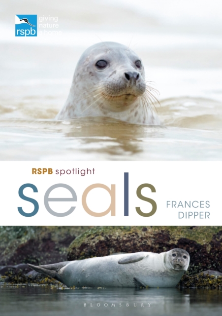 RSPB Spotlight Seals, Paperback / softback Book