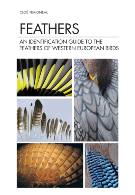 Feathers : An Identification Guide to the Feathers of Western European Birds, Hardback Book
