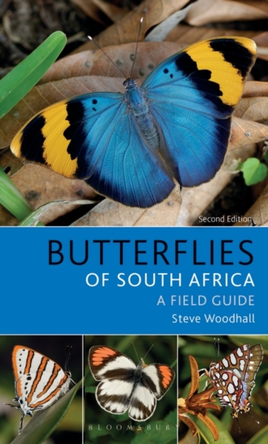 Field Guide to Butterflies of South Africa : Second Edition, EPUB eBook