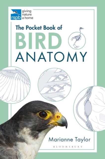The Pocket Book of Bird Anatomy, PDF eBook