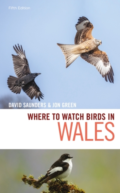 Where to Watch Birds in Wales, PDF eBook