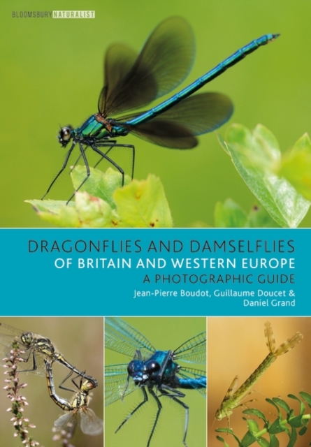Dragonflies and Damselflies of Britain and Western Europe : A Photographic Guide, PDF eBook