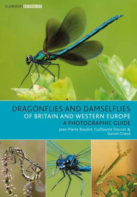 Dragonflies and Damselflies of Britain and Western Europe : A Photographic Guide, Paperback / softback Book