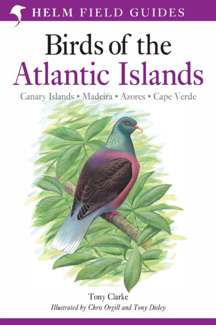 A Field Guide to the Birds of the Atlantic Islands : Canary Islands, Madeira, Azores, Cape Verde, EPUB eBook