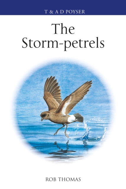 The Storm-petrels, Hardback Book