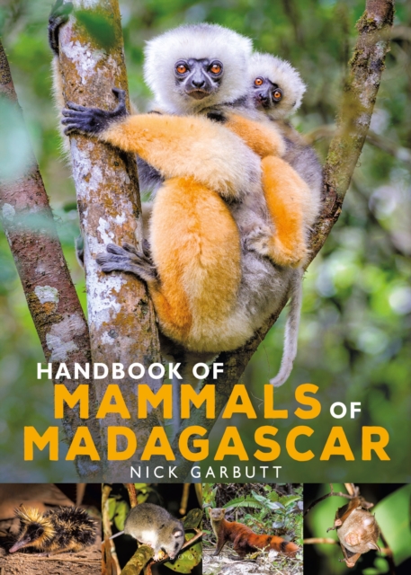 Handbook of Mammals of Madagascar, EPUB eBook