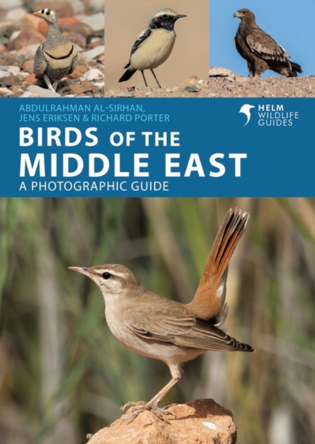 Birds of the Middle East, Paperback / softback Book