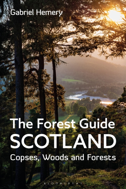 The Forest Guide: Scotland : Copses, Woods and Forests of Scotland, Paperback / softback Book