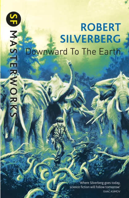 Downward To The Earth, Paperback / softback Book