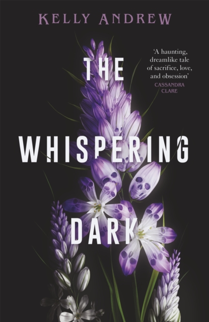 The Whispering Dark : The bewitching academic rivals to lovers slow burn debut fantasy, Hardback Book
