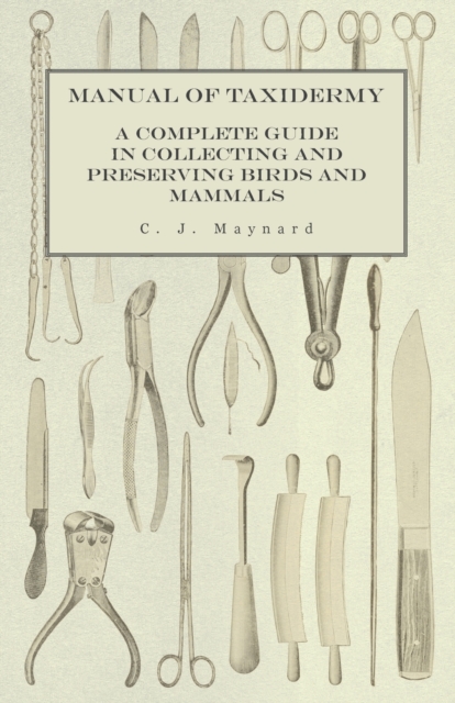 Manual of Taxidermy - A Complete Guide in Collecting and Preserving Birds and Mammals, Paperback / softback Book