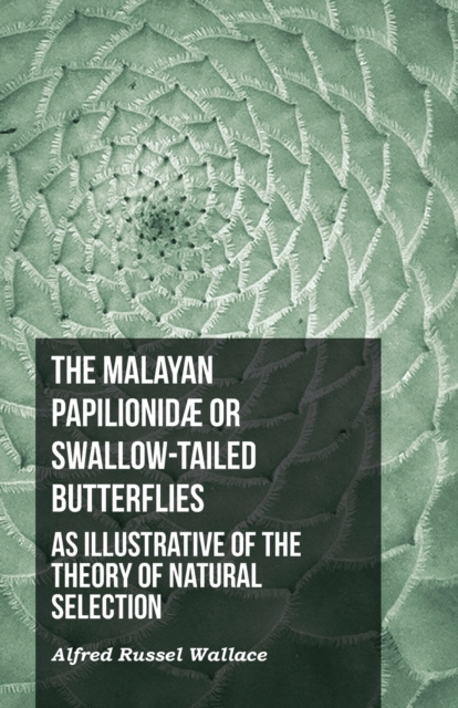 The Malayan Papilionidae or Swallow-tailed Butterflies, as Illustrative of the Theory of Natural Selection, Paperback / softback Book