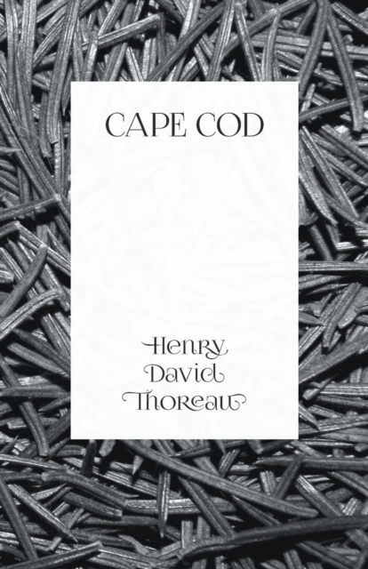 Cape Cod, Paperback / softback Book