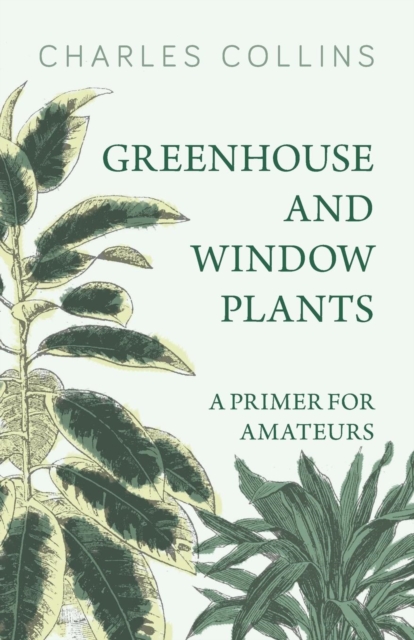 Greenhouse and Window Plants - A Primer for Amateurs, Paperback / softback Book