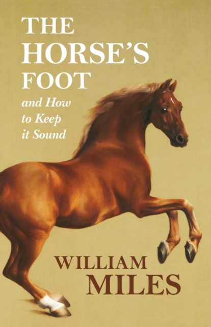 The Horse's Foot and How to Keep it Sound, Paperback / softback Book