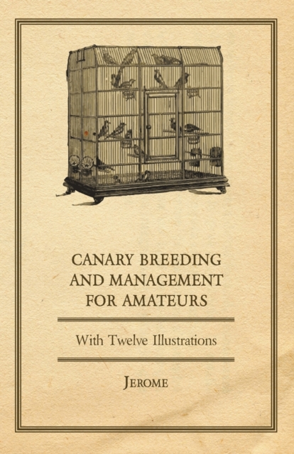 Canary Breeding and Management for Amateurs with Twelve Illustrations, Paperback / softback Book