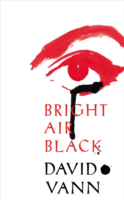 Bright Air Black, EPUB eBook