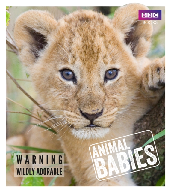 Animal Babies, EPUB eBook