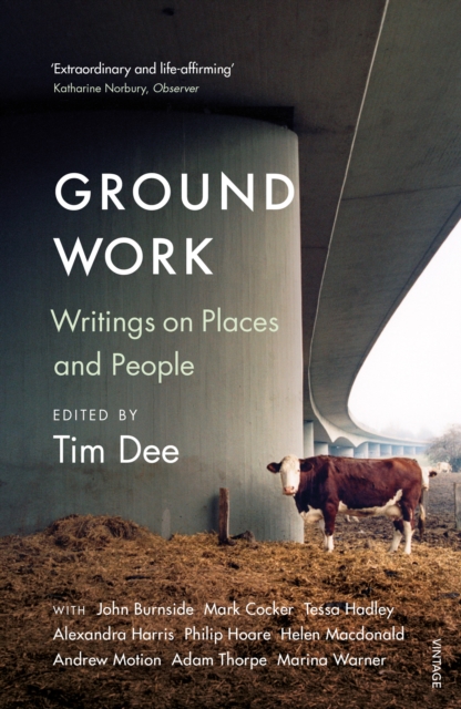 Ground Work : Writings on People and Places, EPUB eBook