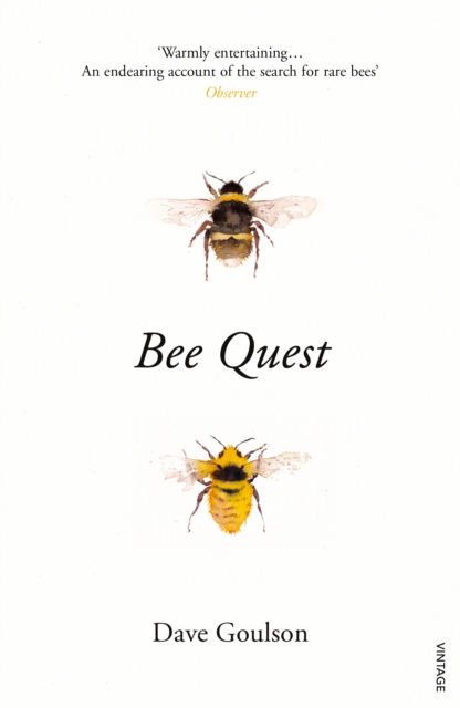 Bee Quest, EPUB eBook