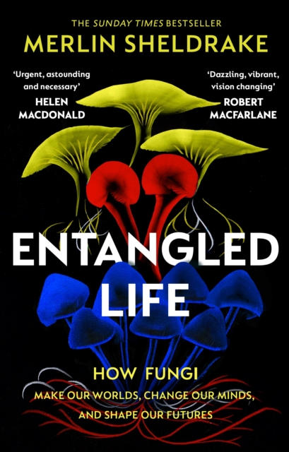 Entangled Life : How Fungi Make Our Worlds, Change Our Minds and Shape Our Futures, EPUB eBook