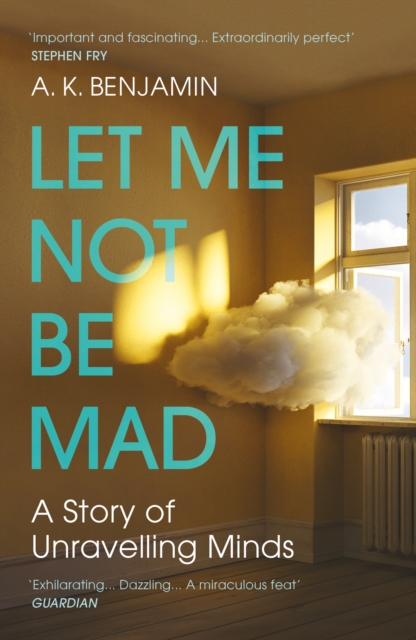 Let Me Not Be Mad : A Story of Unravelling Minds, EPUB eBook