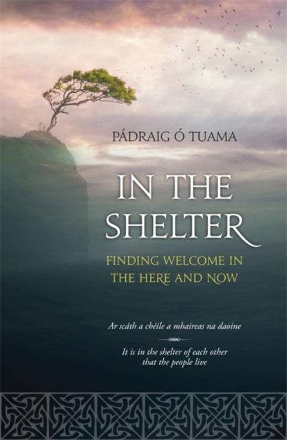 In The Shelter, Paperback Book