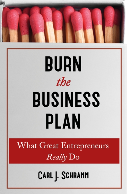 Burn The Business Plan : What Great Entrepreneurs Really Do, Paperback / softback Book