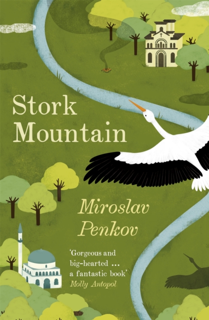 Stork Mountain, Paperback / softback Book