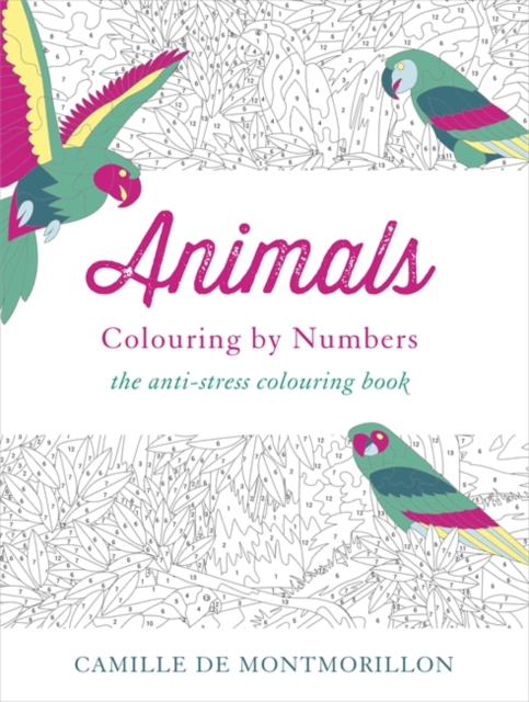 Animals : Colouring by Numbers, Paperback / softback Book